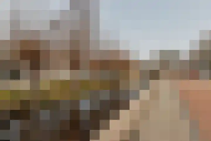Pijpekruidlaan 9 Zoeterwoude thumbnail 37