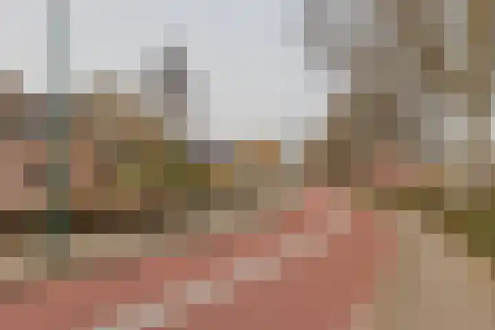 Pijpekruidlaan 9 Zoeterwoude thumbnail 39