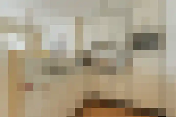 Pijpekruidlaan 9 Zoeterwoude thumbnail 4