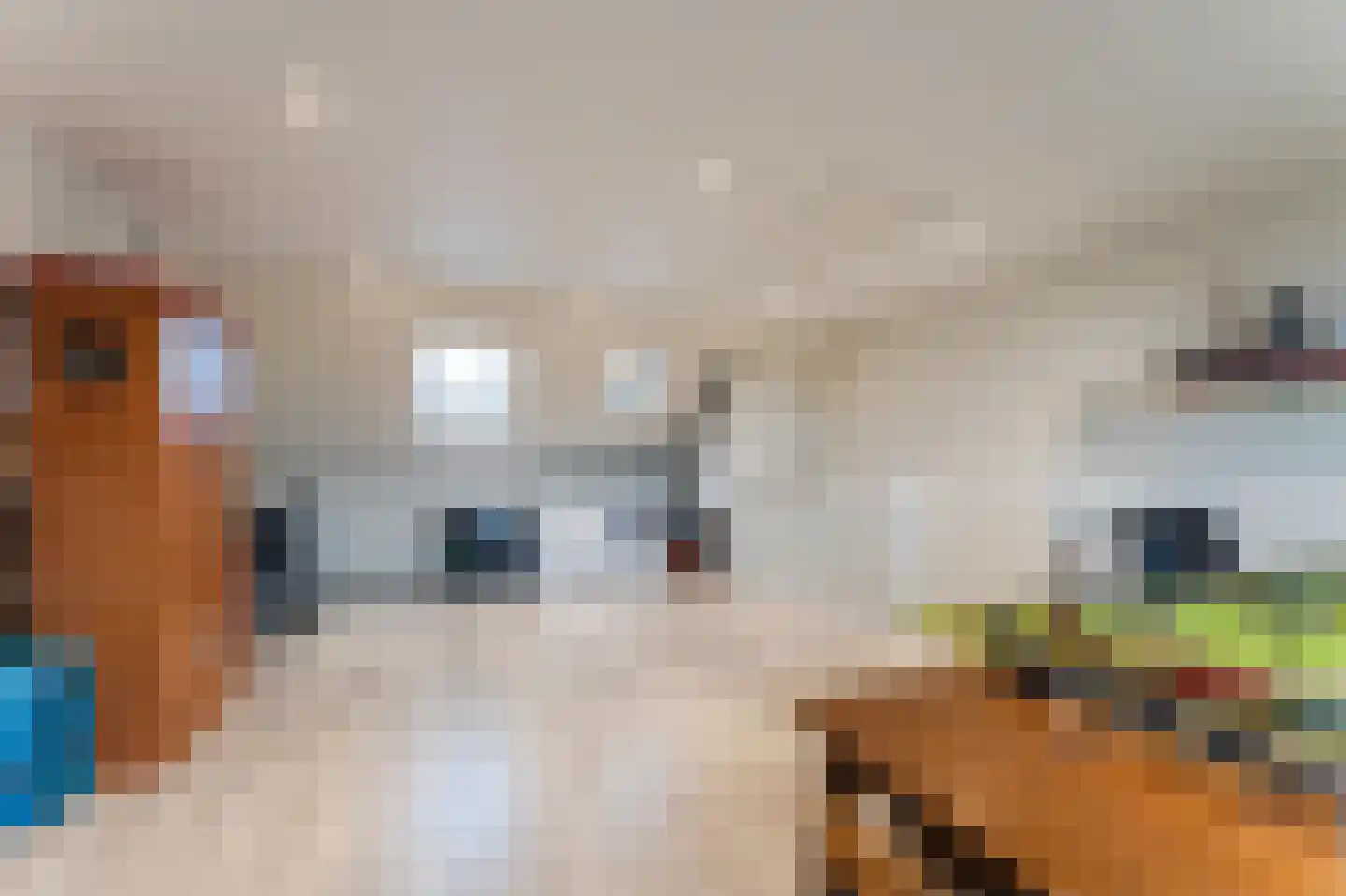 Pijpenklopperstraat 5 Leerdam thumbnail 35