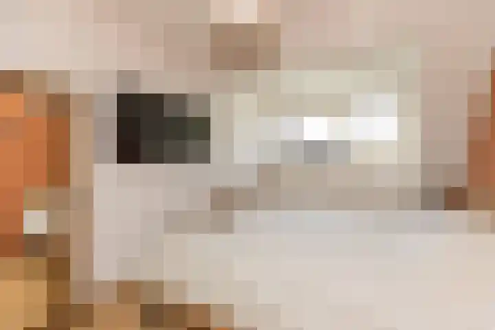 Pijperlaan 11 Zwijndrecht thumbnail 16