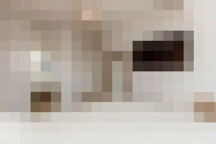 Pijperlaan 11 Zwijndrecht thumbnail 18