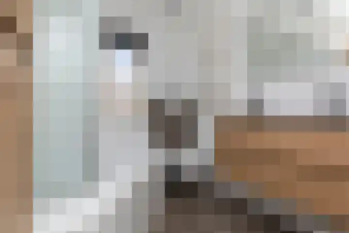 Pijperlaan 11 Zwijndrecht thumbnail 19