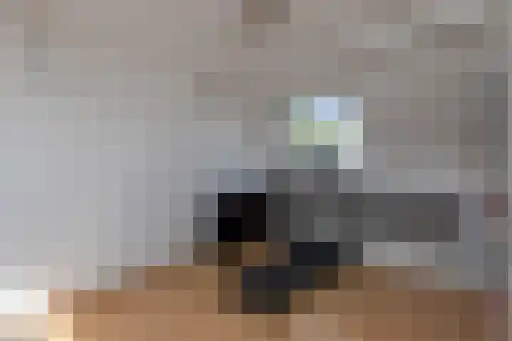 Pijperlaan 11 Zwijndrecht thumbnail 30