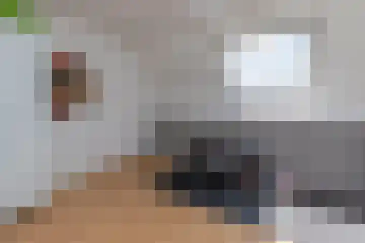 Pijperlaan 11 Zwijndrecht thumbnail 31