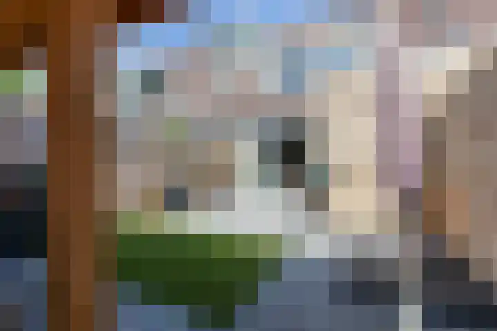 Pijperlaan 11 Zwijndrecht thumbnail 33