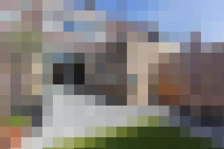 Pijperlaan 11 Zwijndrecht thumbnail 35