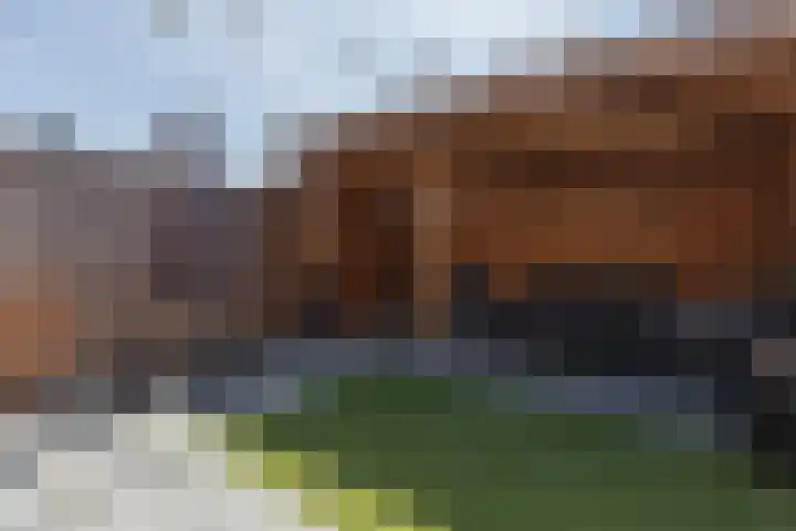 Pijperlaan 11 Zwijndrecht thumbnail 37