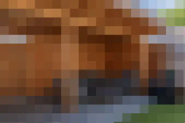 Pijperlaan 11 Zwijndrecht thumbnail 38