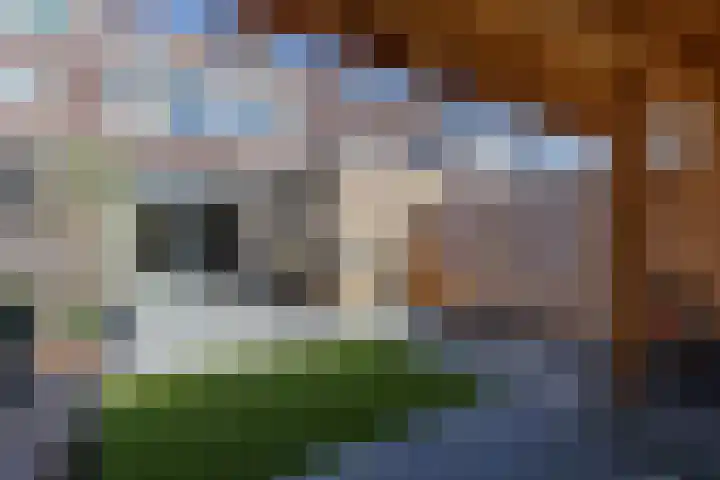Pijperlaan 11 Zwijndrecht thumbnail 5