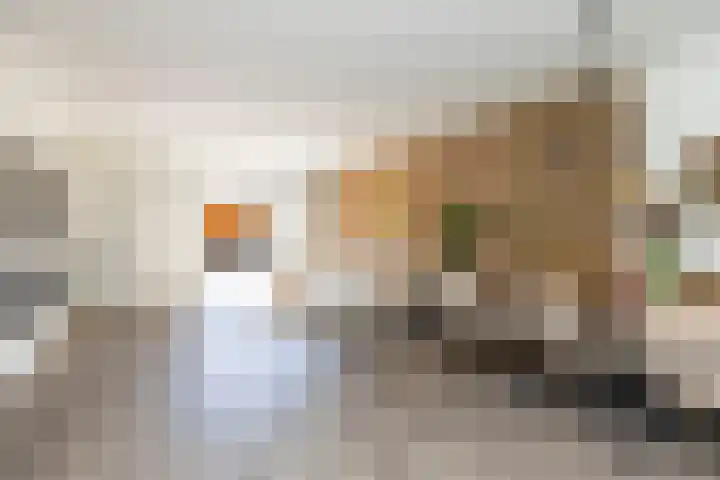 Pijperlaan 11 Zwijndrecht thumbnail 6