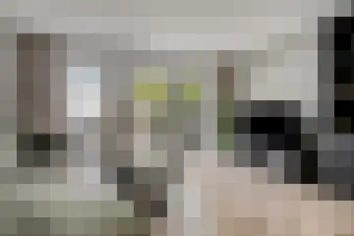 Pijperlaan 12 Zwijndrecht thumbnail 10