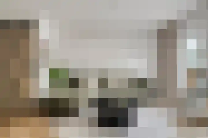 Pijperlaan 12 Zwijndrecht thumbnail 11