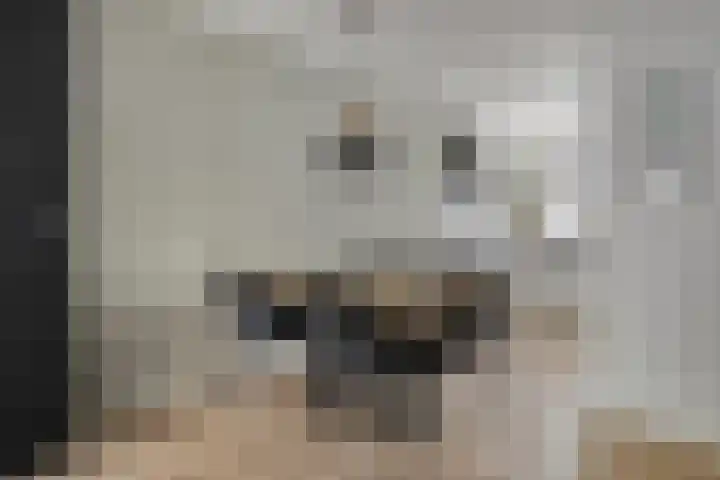 Pijperlaan 12 Zwijndrecht thumbnail 13