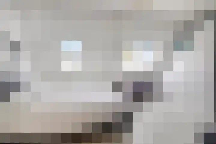 Pijperlaan 12 Zwijndrecht thumbnail 20