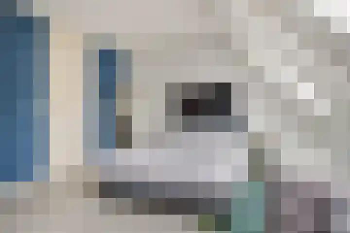 Pijperlaan 12 Zwijndrecht thumbnail 21