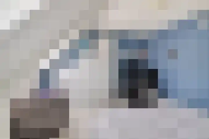 Pijperlaan 12 Zwijndrecht thumbnail 22
