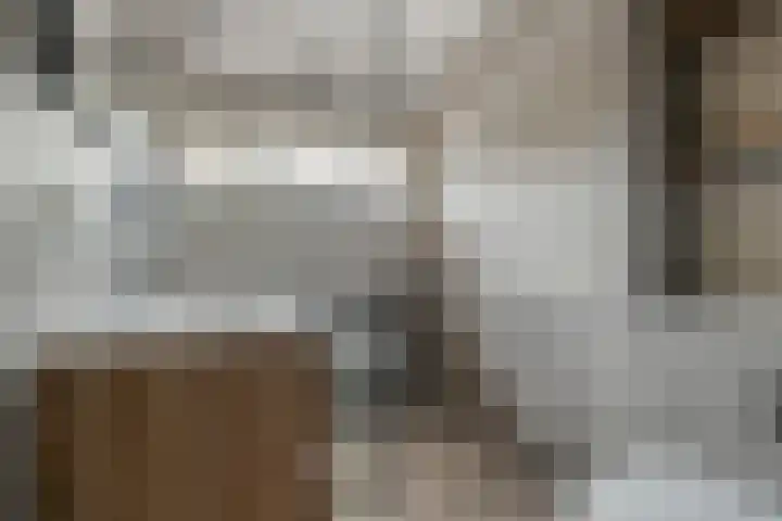 Pijperlaan 12 Zwijndrecht thumbnail 25