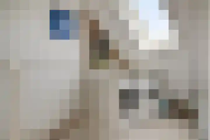 Pijperlaan 12 Zwijndrecht thumbnail 27