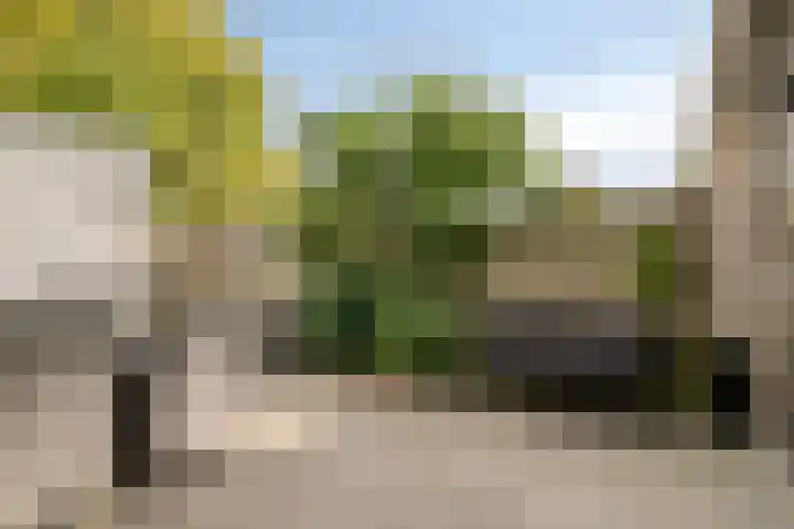 Pijperlaan 12 Zwijndrecht thumbnail 33