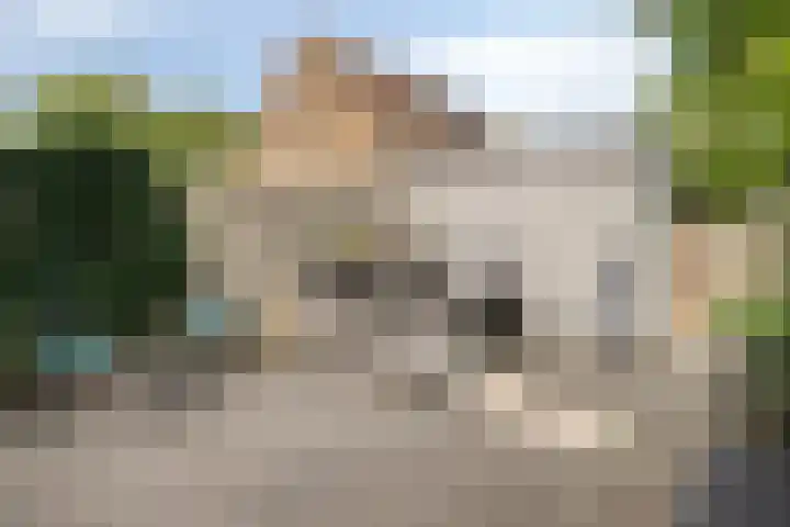 Pijperlaan 12 Zwijndrecht thumbnail 34