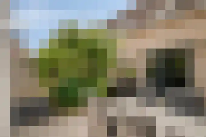Pijperlaan 12 Zwijndrecht thumbnail 35