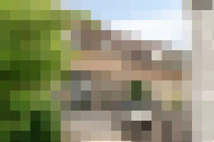 Pijperlaan 12 Zwijndrecht thumbnail 36