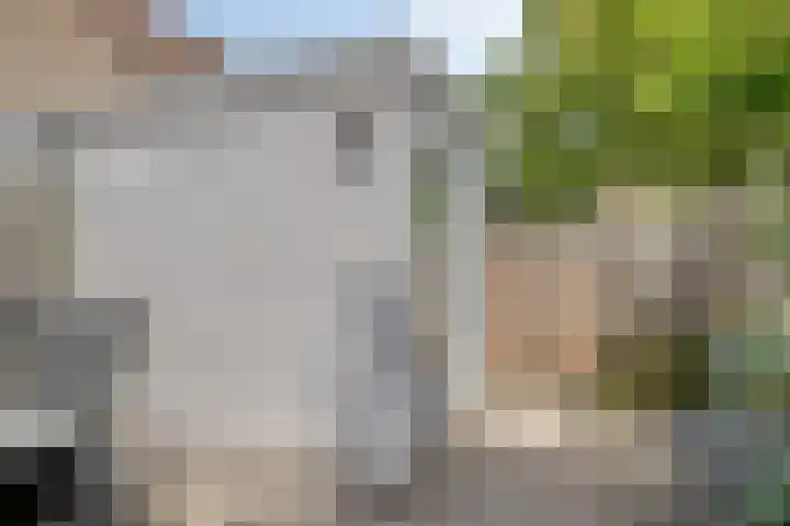 Pijperlaan 12 Zwijndrecht thumbnail 37