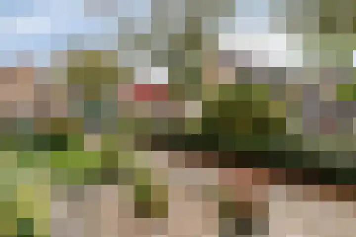 Pijperlaan 12 Zwijndrecht thumbnail 38