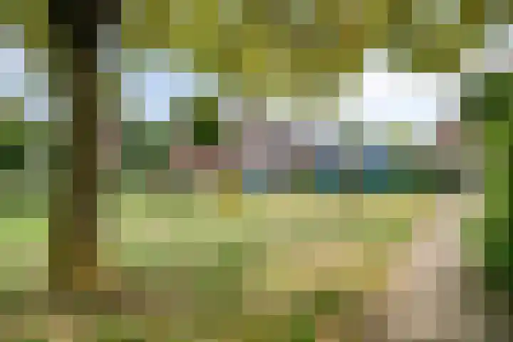 Pijperlaan 12 Zwijndrecht thumbnail 44