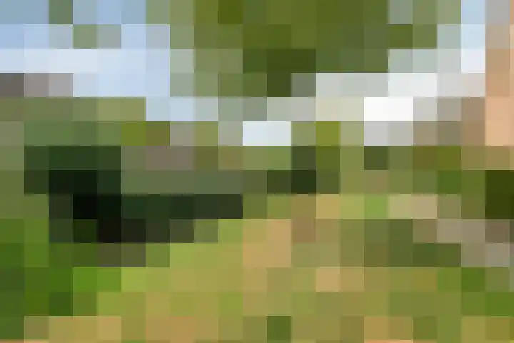 Pijperlaan 12 Zwijndrecht thumbnail 45