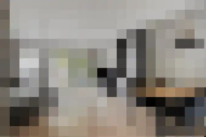 Pijperlaan 12 Zwijndrecht thumbnail 7