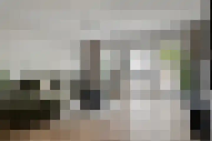 Pijperlaan 12 Zwijndrecht thumbnail 8