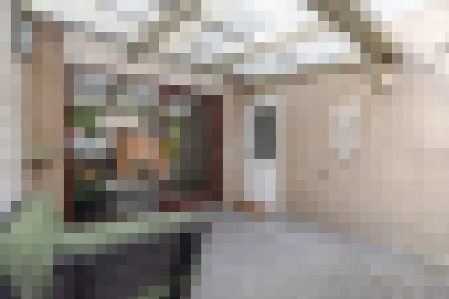 Pijperlaan 21 Zwijndrecht thumbnail 40