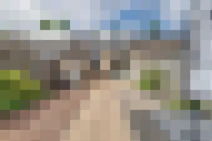 Pijperlaan 55 Zwijndrecht thumbnail 24