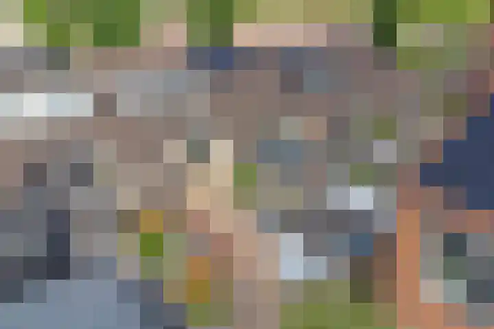 Pijperlaan 55 Zwijndrecht thumbnail 32