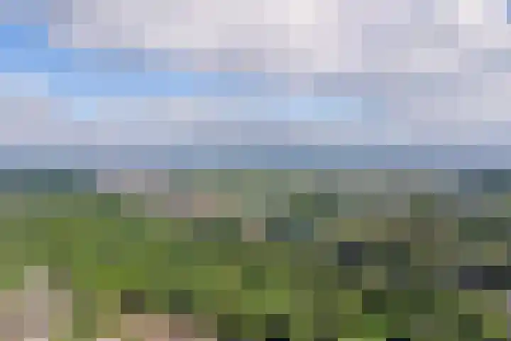 Pijperlaan 55 Zwijndrecht thumbnail 35
