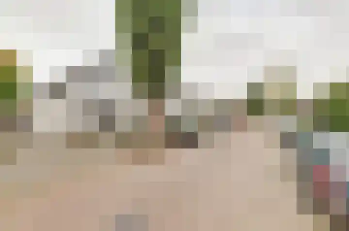 Pijperlaan 82 Zwijndrecht thumbnail 32