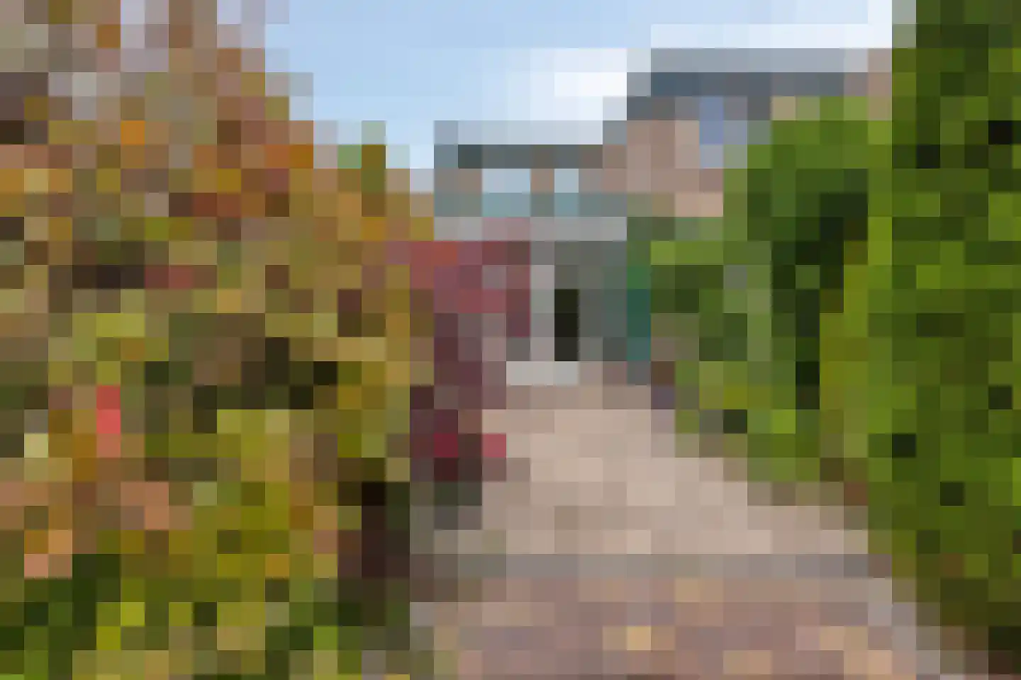 Pijperpad 12 Soest