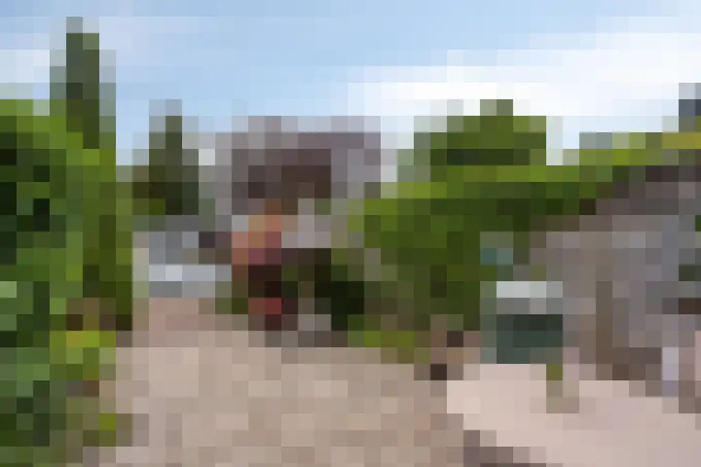 Pijperpad 12 Soest thumbnail 33