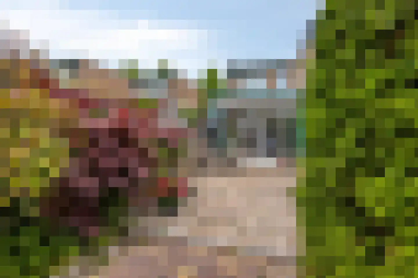 Pijperpad 12 Soest thumbnail 34