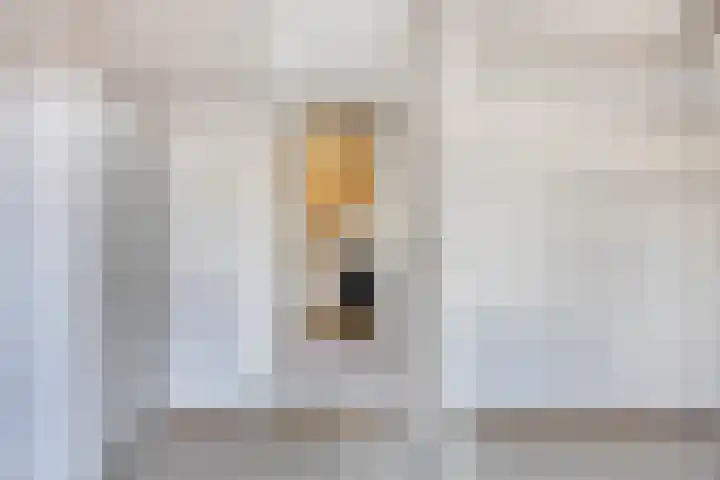 Pijperpad 40 Soest thumbnail 21