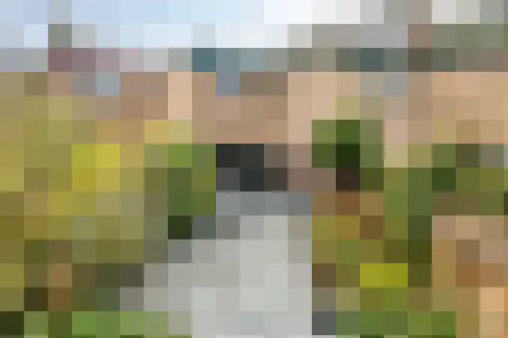 Pijperpad 40 Soest thumbnail 30