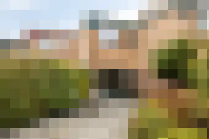Pijperpad 40 Soest thumbnail 31