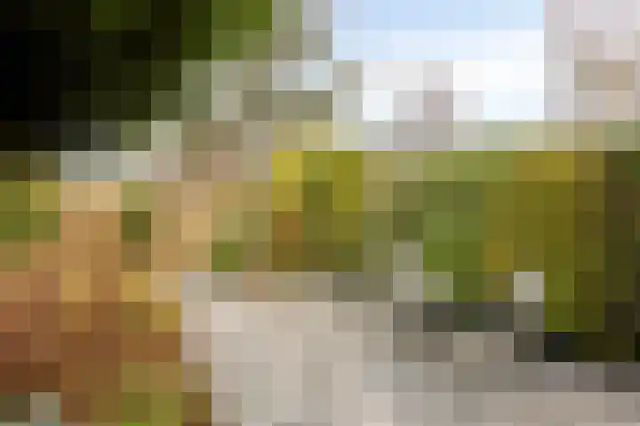 Pijperpad 40 Soest thumbnail 32