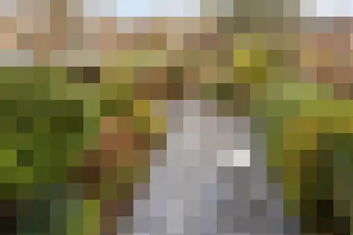 Pijperpad 40 Soest thumbnail 33