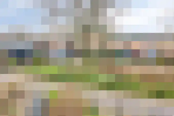 Pijperpad 40 Soest thumbnail 35
