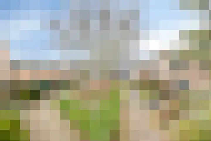 Pijperpad 40 Soest thumbnail 36