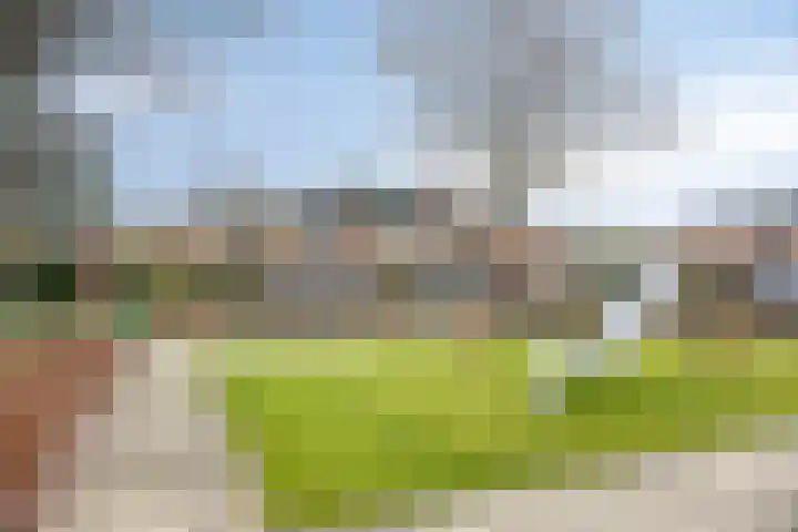 Pijperpad 40 Soest thumbnail 40