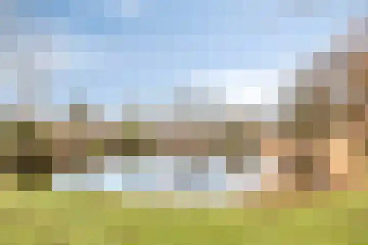 Pijperpad 40 Soest thumbnail 41